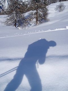 Immagine profilo di walking.shadow